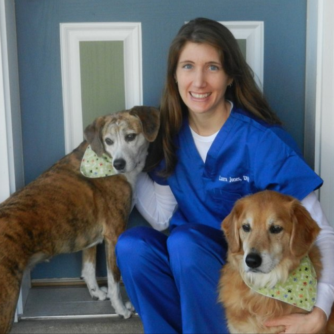 About Our Veterinarian Clinic in Philadelphia, PA Animedic Veterinary